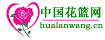 花篮网鲜花递送